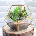 VERDE Geometric Glass & Brass Wall Terrarium Set (Set of 2)