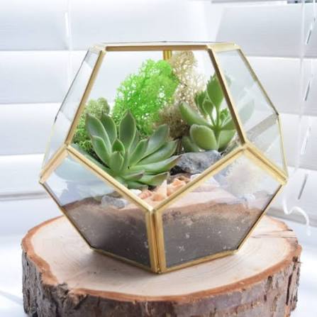 VERDE Geometric Glass & Brass Wall Terrarium Set (Set of 2)